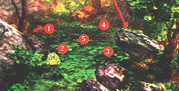 FF 8 Chocobo Wald der Umzäunung