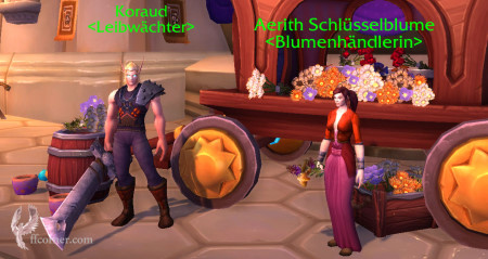 Aerith & Cloud in WoW