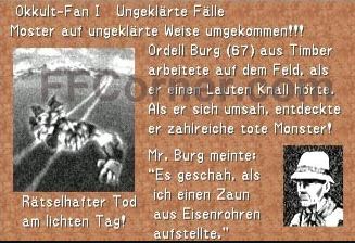 FF8 Zeitschrift Okkult Fan