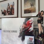 Final Fantasy Resonance Collectors Edition